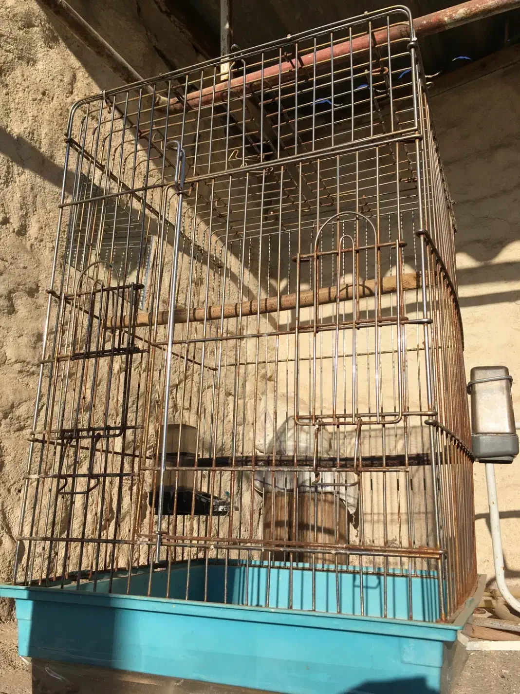 قفس پرنده|لوازم جانبی حیوانات|میانه, |دیوار