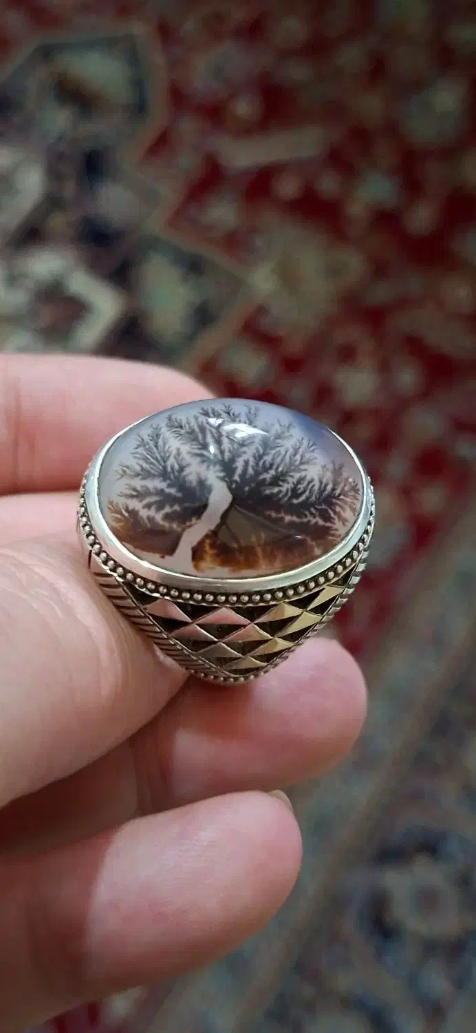 شجر تمام شبکه|کلکسیون اشیاء عتیقه|آفتاب, |دیوار