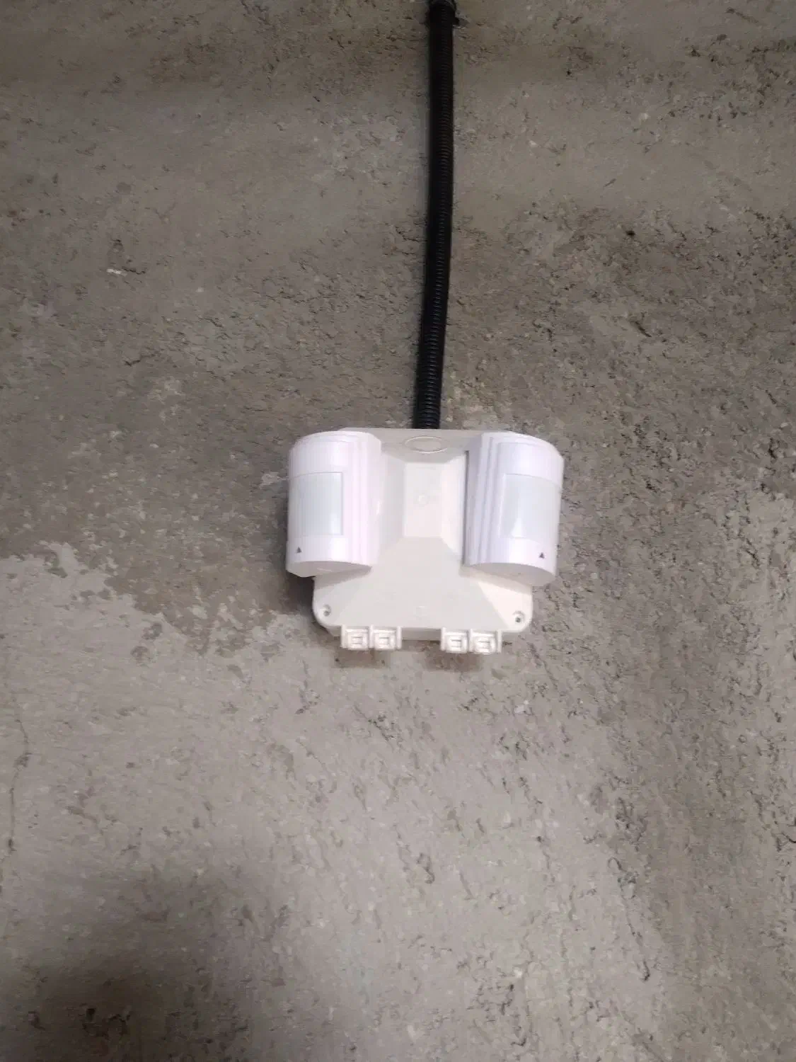 نصب دوربین مداربسته|خدمات پیشه و مهارت|بکتاش, |دیوار