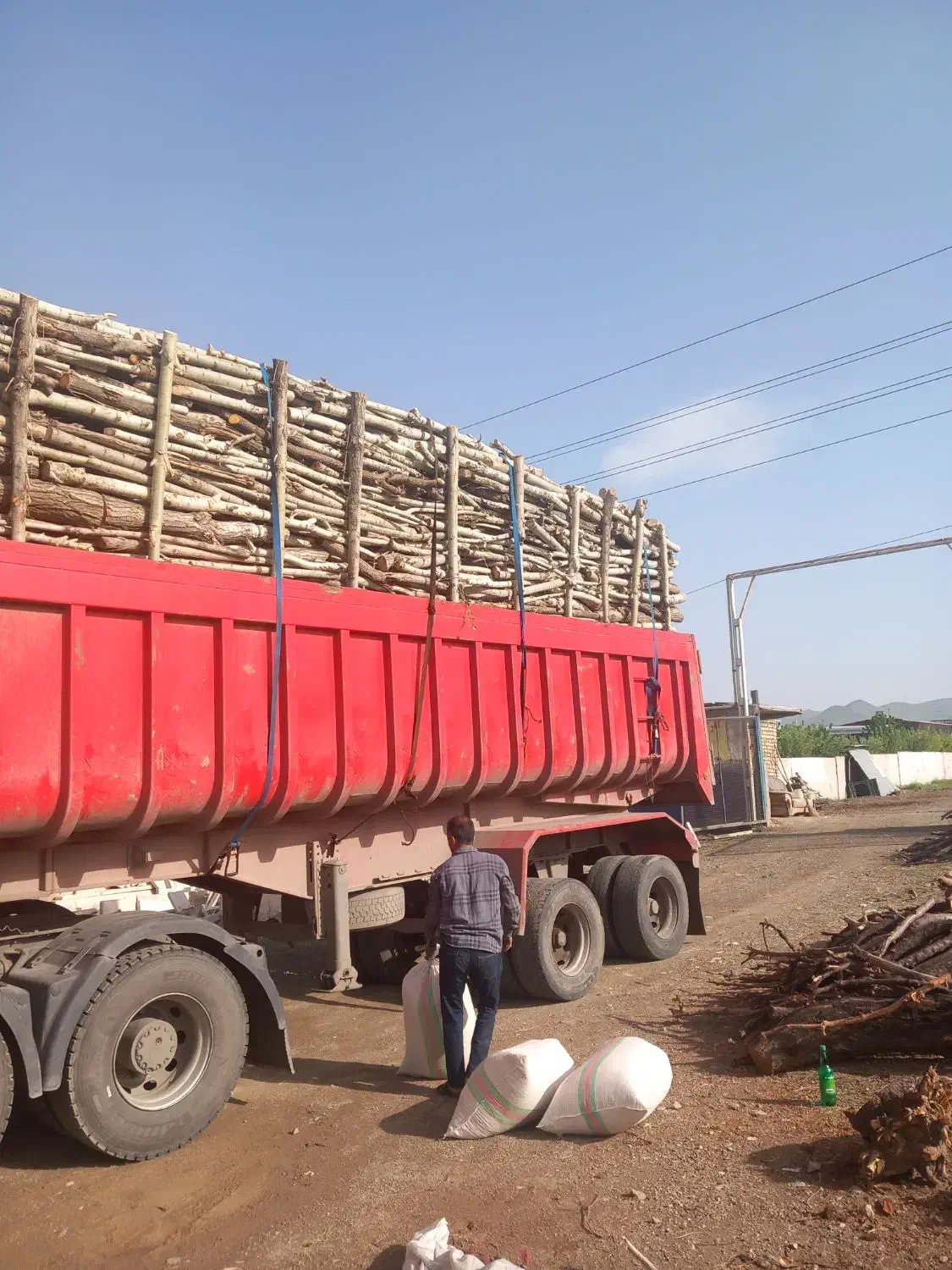 خریدهمه نوع چوب با بالاترین قیمت|خدمات باغبانی و درختکاری|زنجان, |دیوار