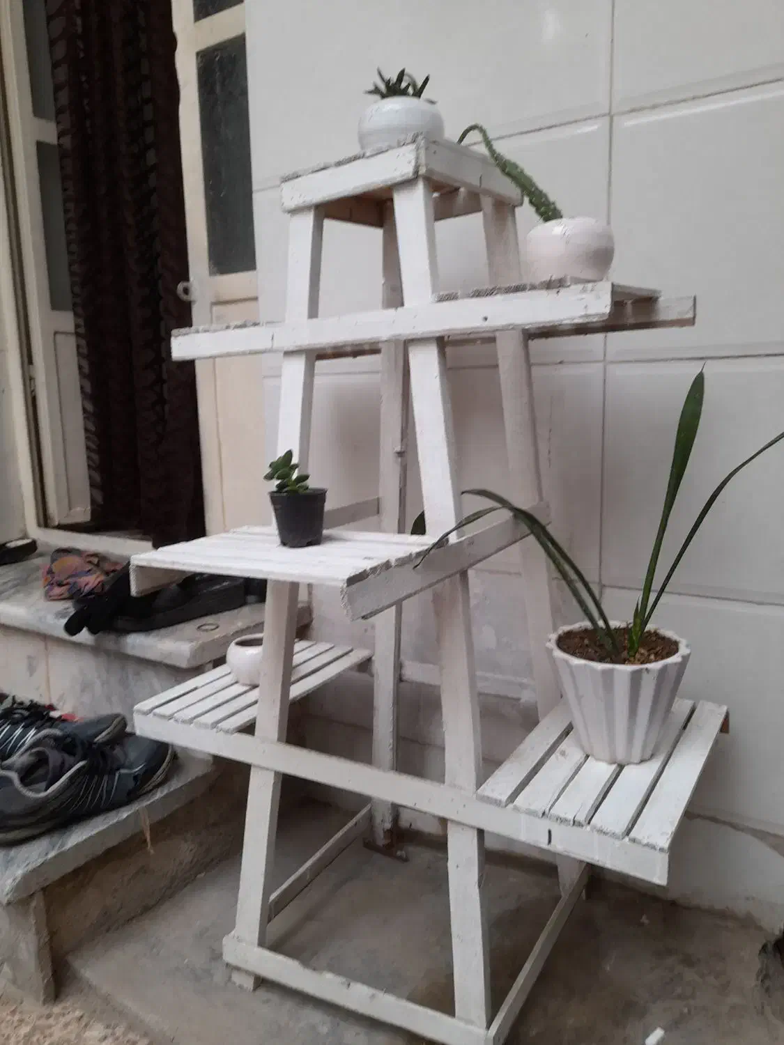 پایه گل و گلدون|گل و گیاه طبیعی|قائن, |دیوار