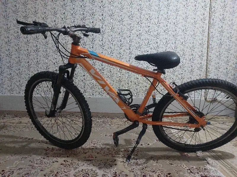 ویوا پاریس|دوچرخه، اسکیت، اسکوتر|تهران, شمیران‌نو|دیوار