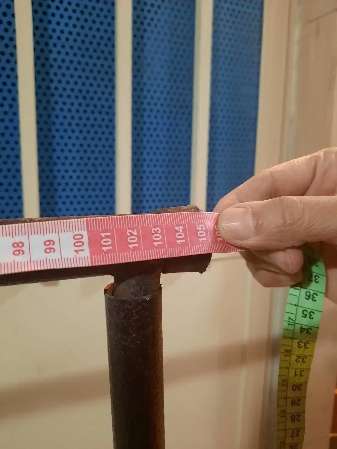 رگال لباس|بندرخت و رخت‌آویز|تهران, تهران‌ویلا|دیوار