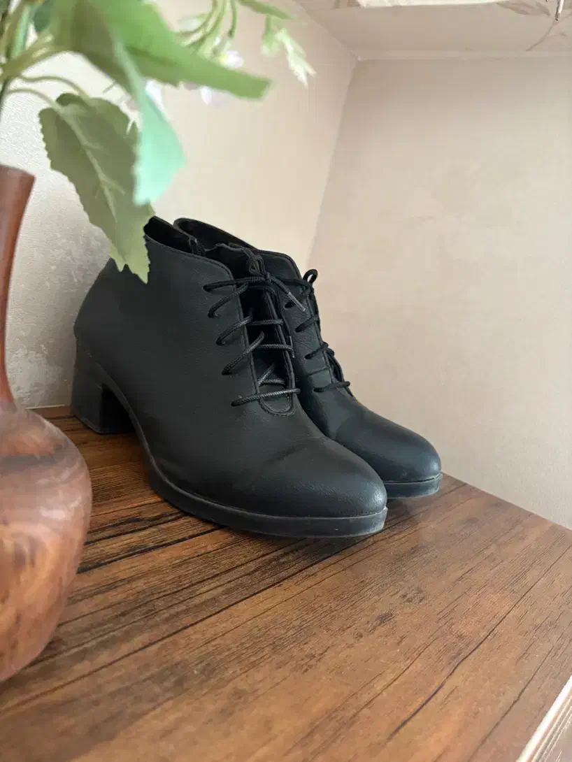 کفش|کیف، کفش، کمربند|سبزوار, قصبه شرقی|دیوار