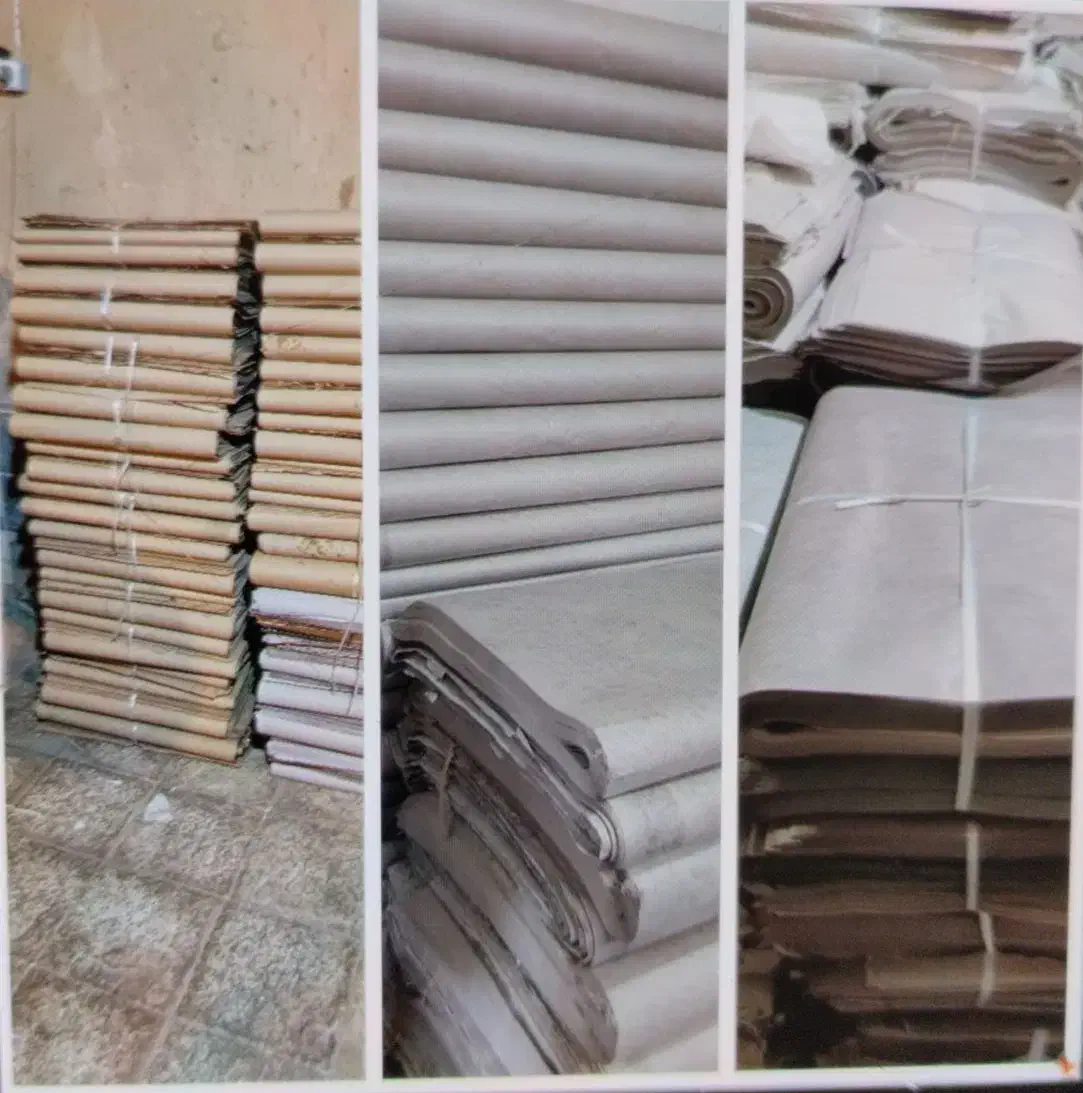 کاغذبرای گل گلخانه قارج (جایگزین روزنامه باطله)کد7|عمدهفروشی|تهران, میدان میوه و ترهبار مرکزی|دیوار