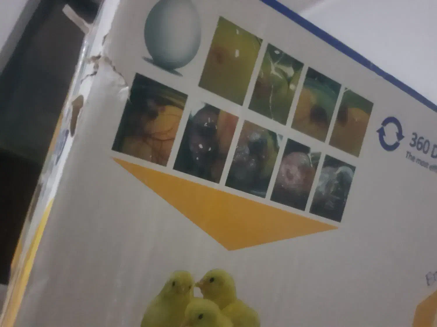 دستگاه جوجه کشی حراج تمام اتوماتیک گارانتی دار|حیوانات مزرعه|سراوان, |دیوار