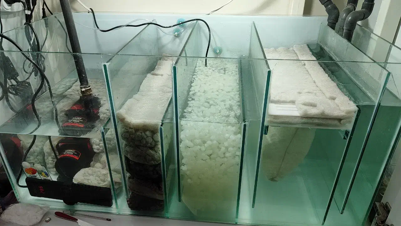 اکواریوم سوپر حرفه ای ریملس|ماهی|مشهد, طلاب|دیوار