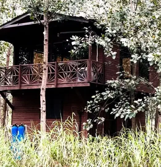 ویلاهایی در دل جنگل|فروش خانه و ویلا|بانه, |دیوار