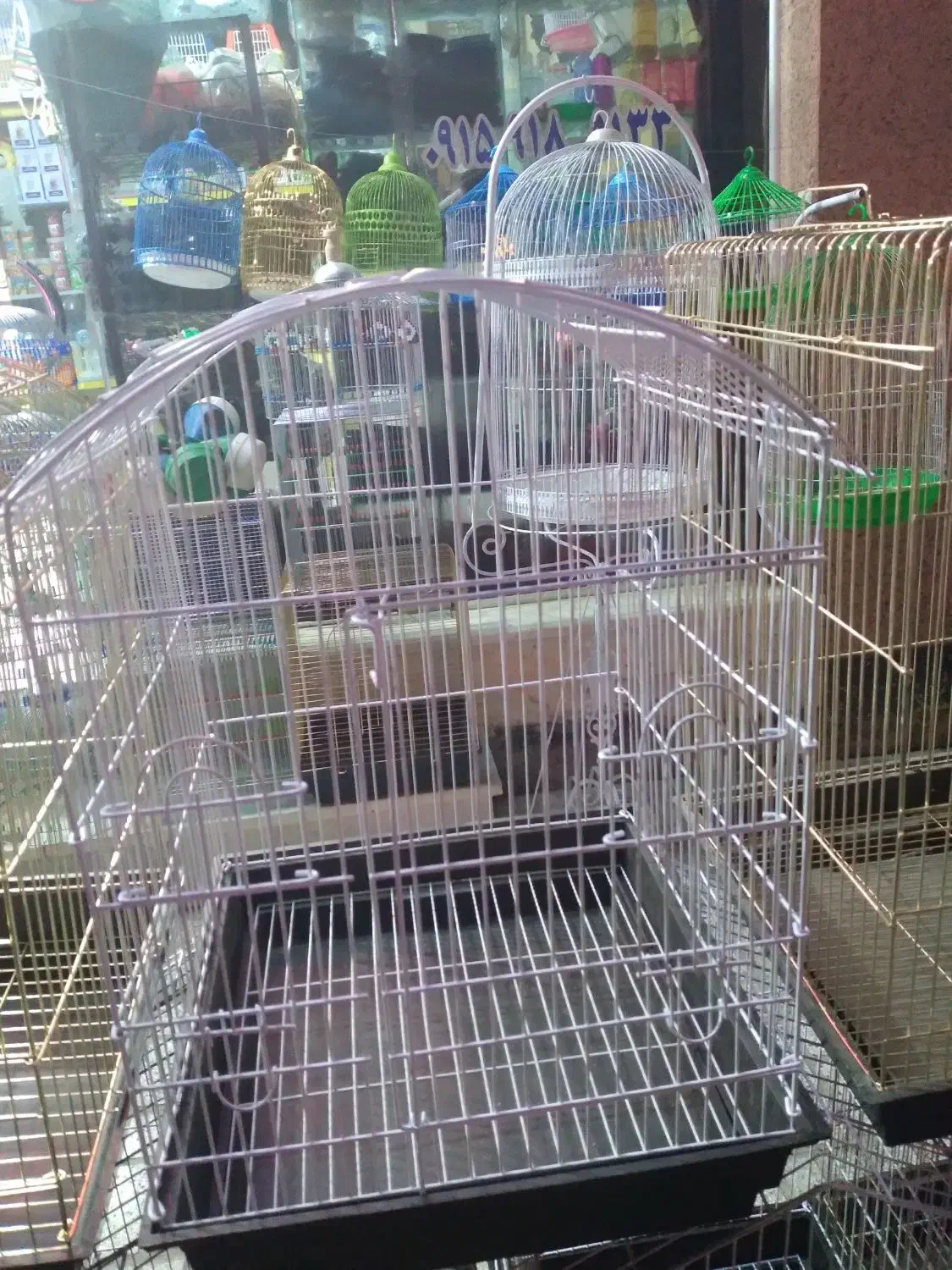 کلکسیون قفس پرنده|لوازم جانبی حیوانات|تربت‌حیدریه, شهید قرنی|دیوار