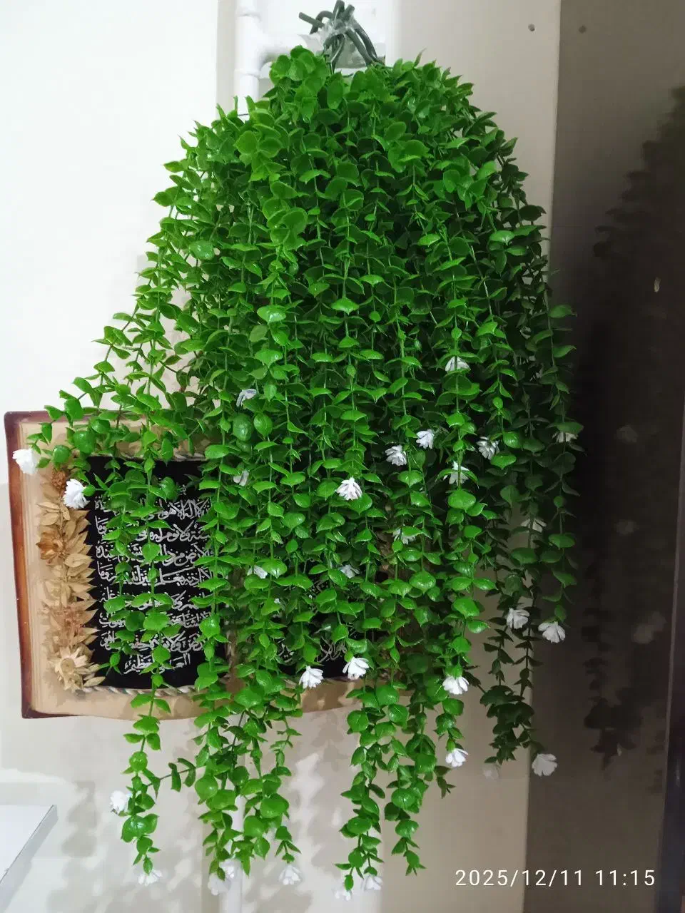 آویز شمشاد|گل مصنوعی|شوش, |دیوار