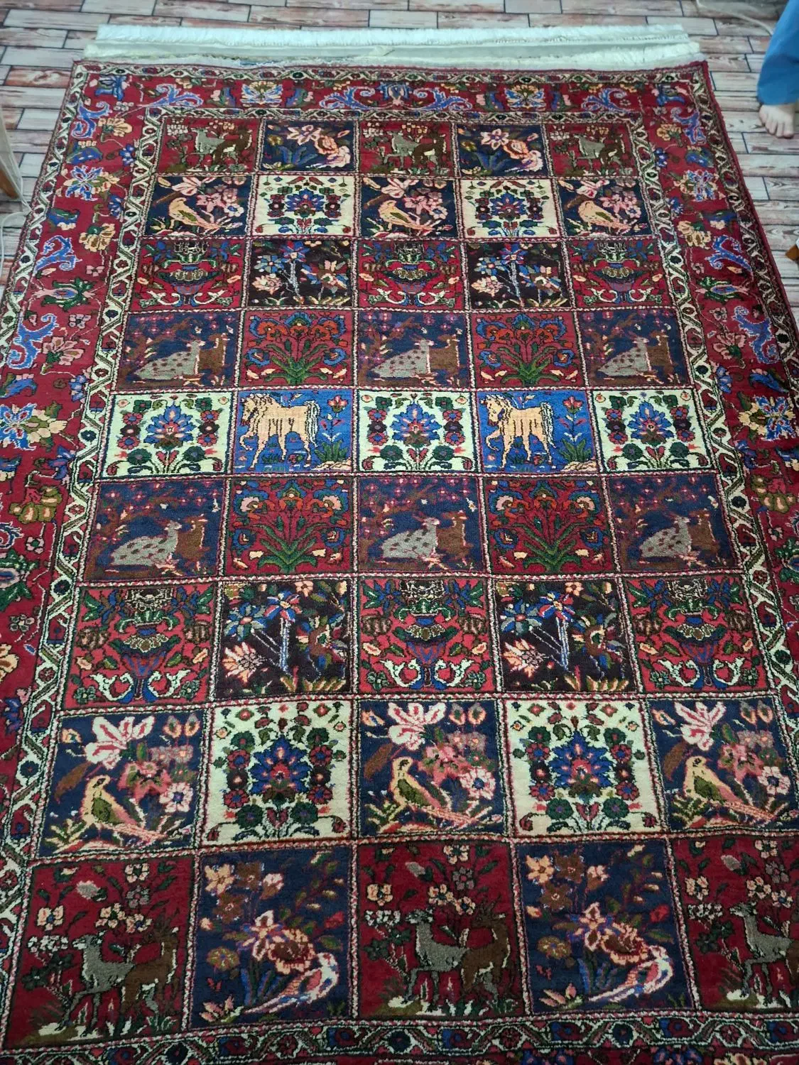 قالی دست‌باف قدیمی|فرش|اصفهان, سپاهان‌شهر|دیوار