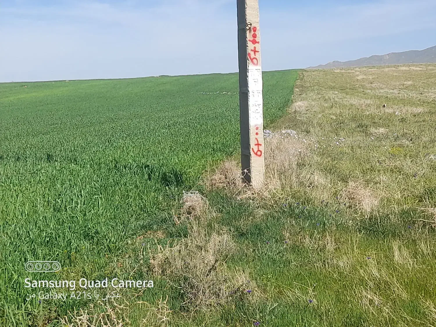 فروش زمین کشاورزی صنعتی|فروش دفتر صنعتی، کشاورزی، تجاری|صائین قلعه, |دیوار