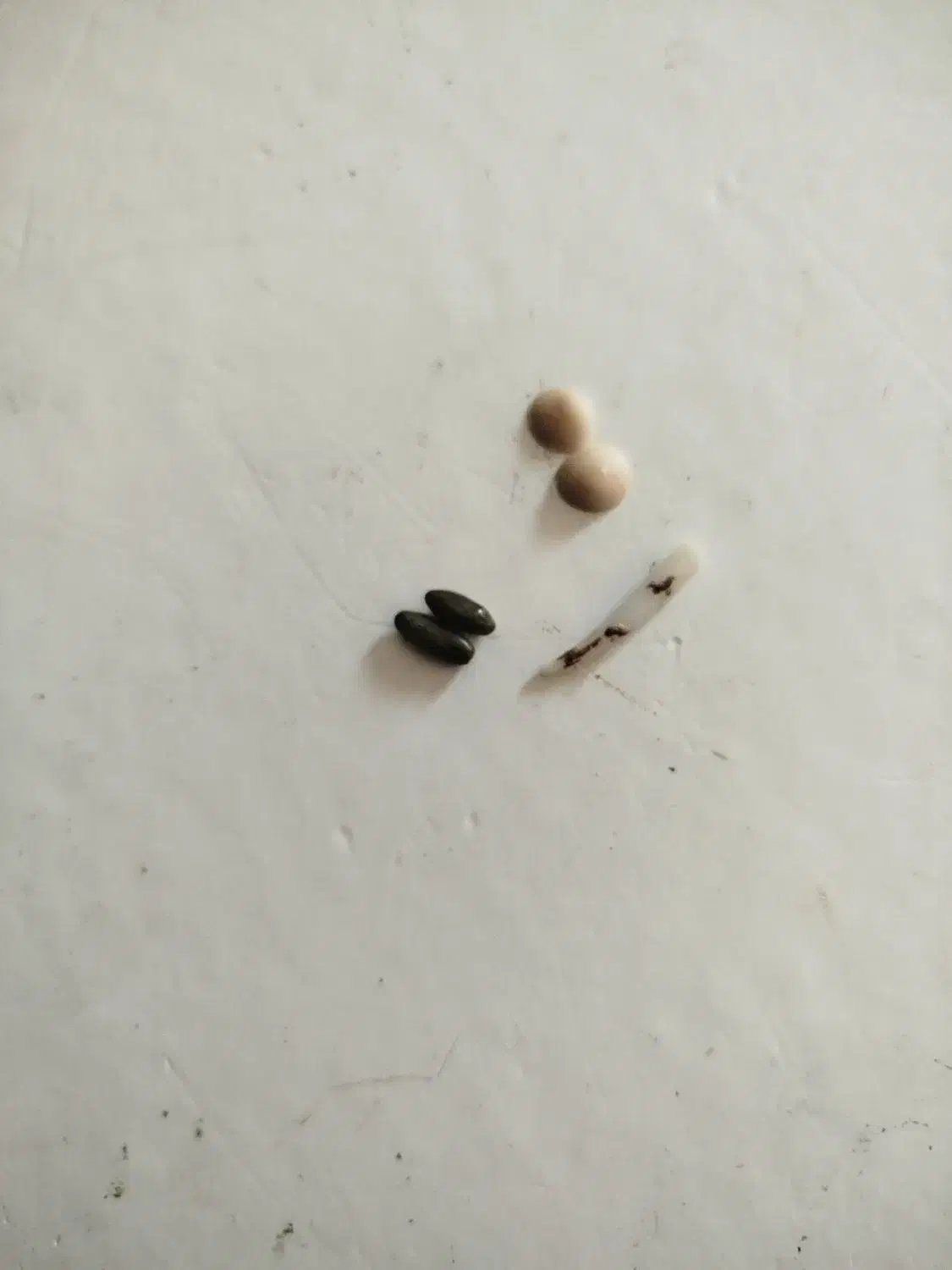 مهره وسنگ قدیمی|جواهرات|لنجان, |دیوار