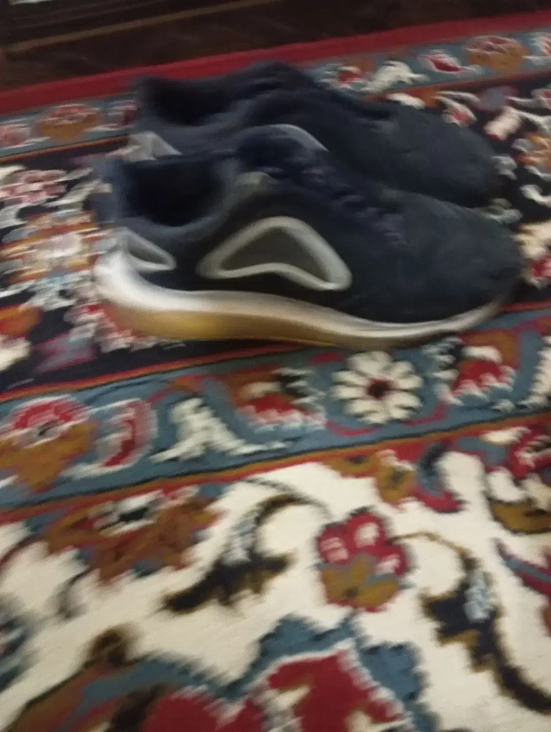 کفش خارجی|کیف، کفش، کمربند|گنبد کاووس, |دیوار