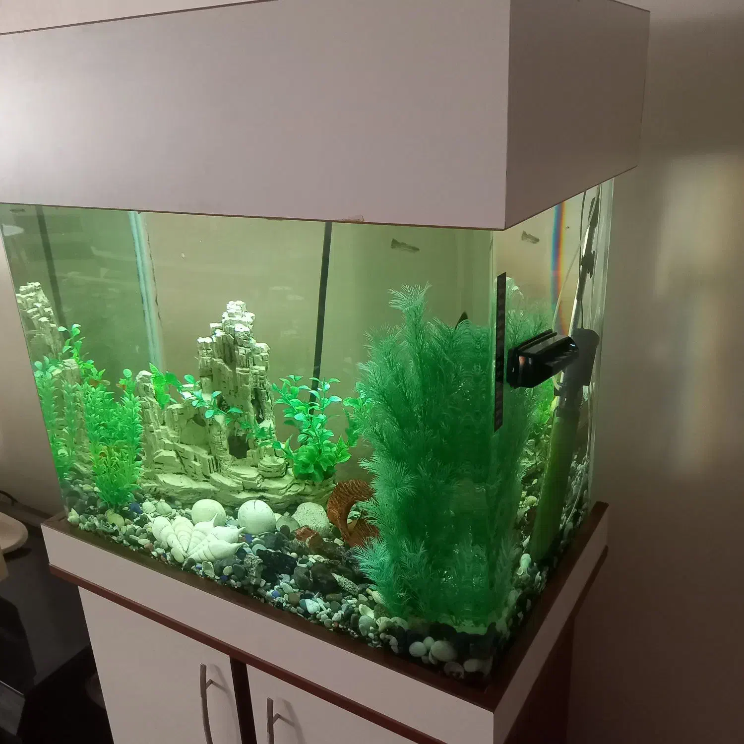 آکواریوم شیشه خم کمد دار|ماهی|قزوین, |دیوار