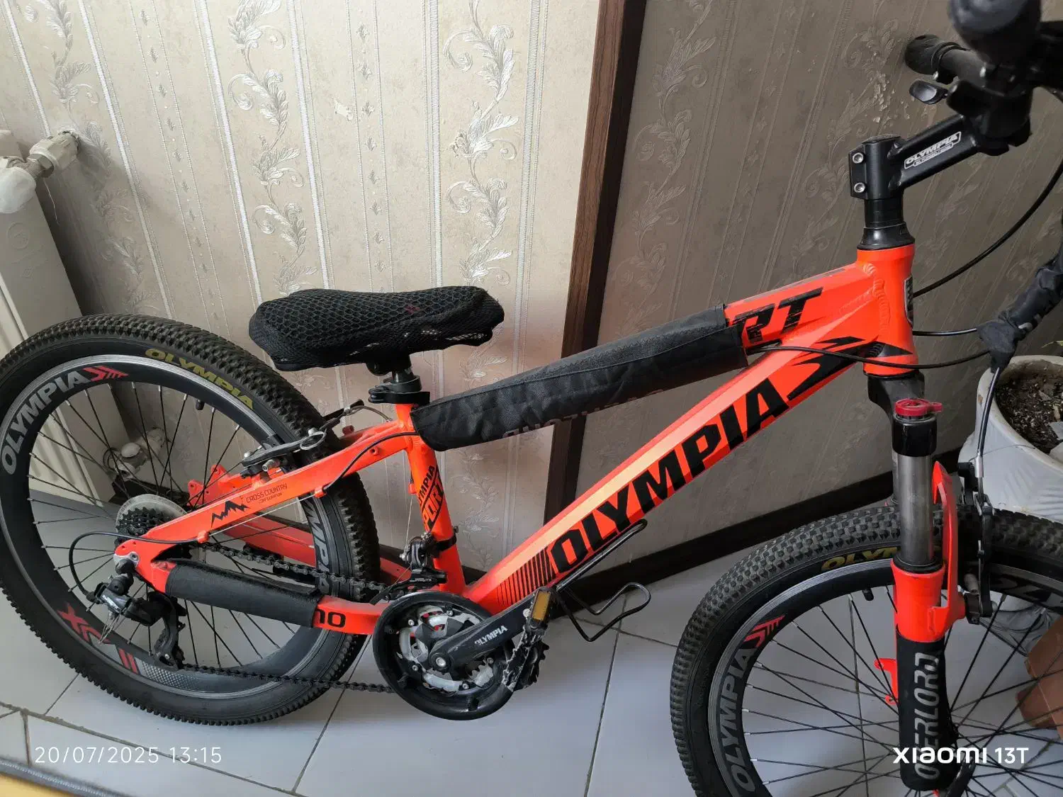 دوچرخه المپیا اسپورت ۲۴|دوچرخه، اسکیت، اسکوتر|مشکیندشت, |دیوار