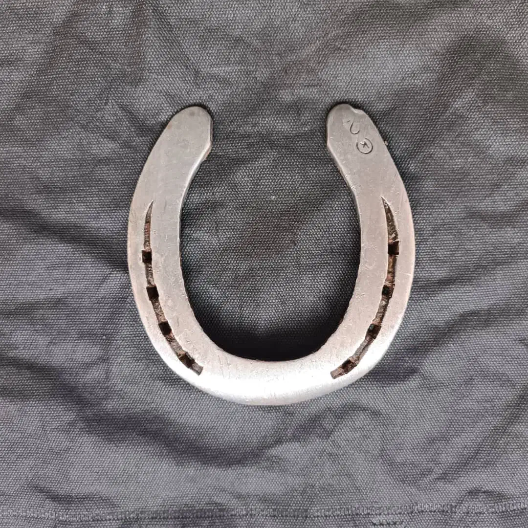 نعل پاخورده فولاد 400 گرمی|اسب و تجهیزات اسبسواری|مشهد, آزادشهر|دیوار