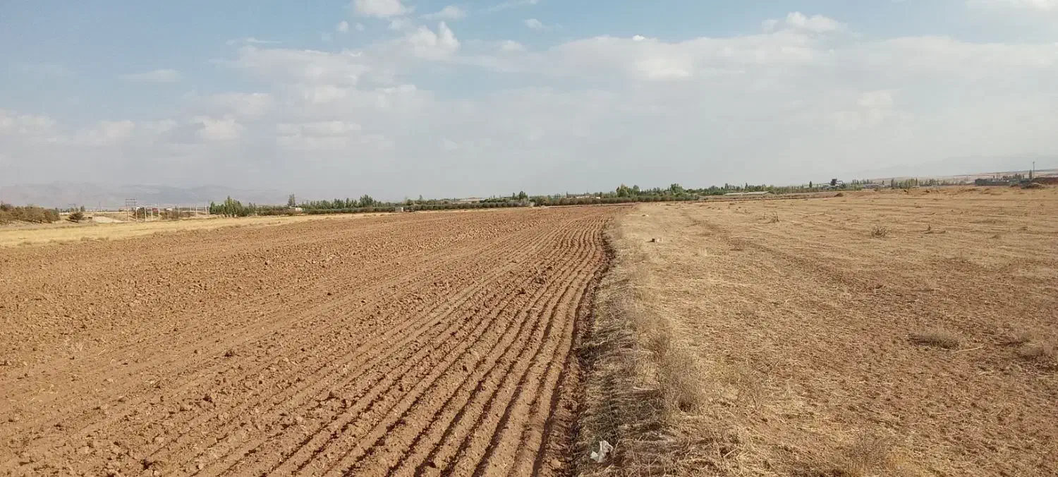 بناب‌کشاورزی‌زمین|فروش زمین و ملک کلنگی|زنجان, |دیوار