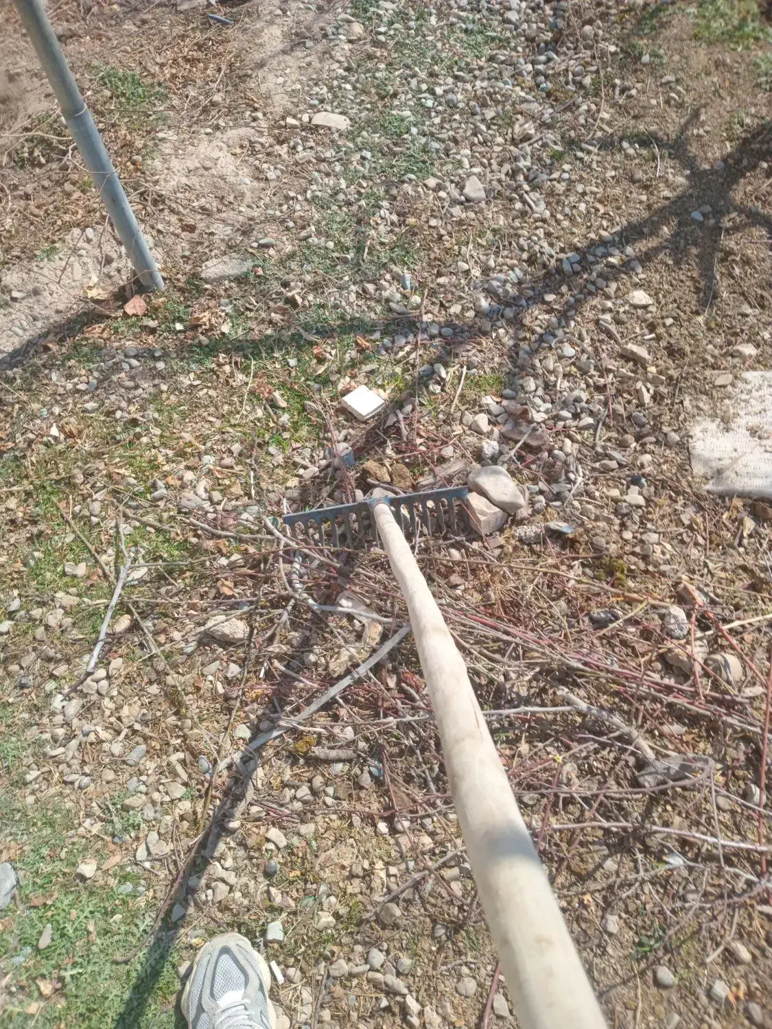 نظافت منزل .وباغ|خدمات نظافت|ورامین, ورامین|دیوار