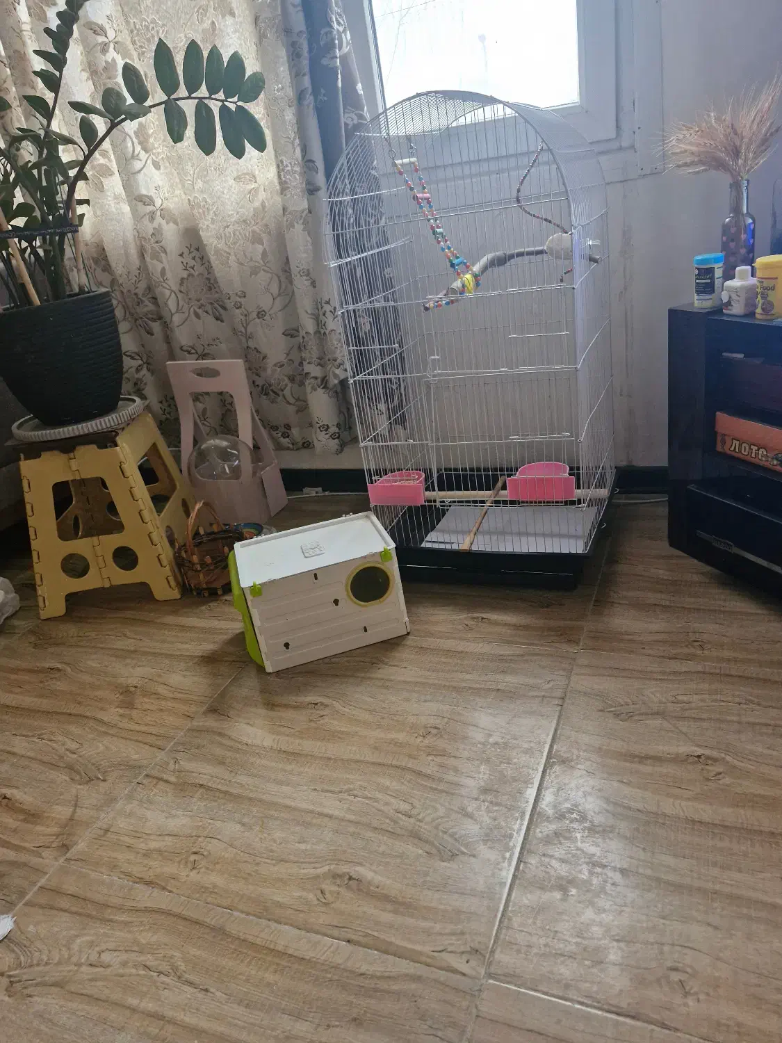 قفس یک متری و لانه و لوازم|لوازم جانبی حیوانات|چاف و چمخاله, |دیوار