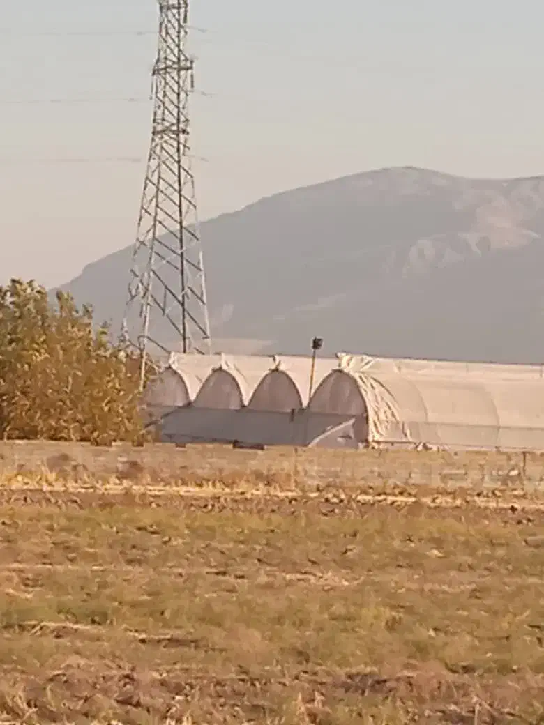 زمین گلخانه|فروش دفتر صنعتی، کشاورزی، تجاری|کرج, مهرویلا جنوبی|دیوار