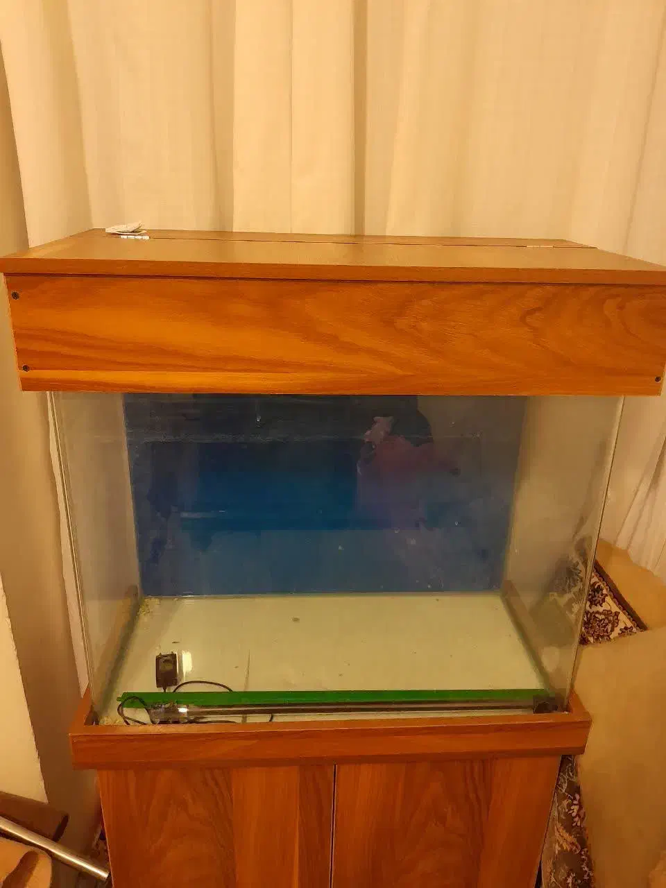 اکواریوم|کلکسیون و سرگرمی|اسلام‌شهر, مطهری|دیوار