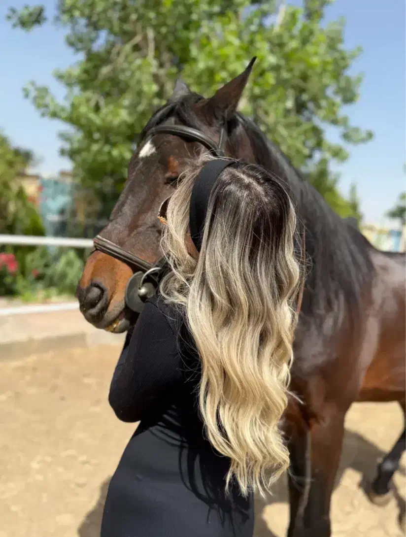 مدل رنگ و لایت کراتین احیا و پروتئین مو|خدمات آرایشگری و زیبایی|تهران, علم و صنعت|دیوار