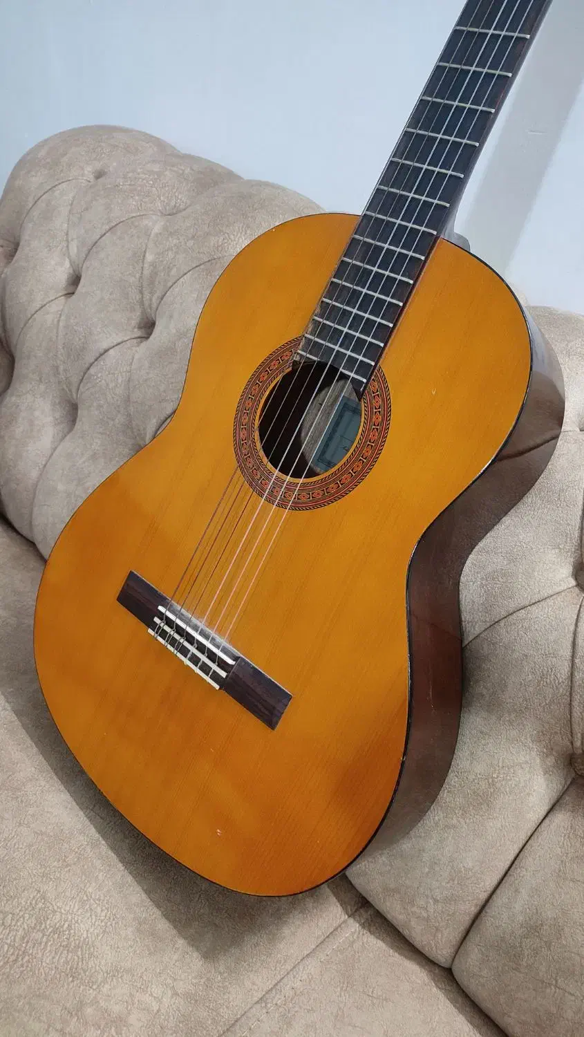 گیتار c40|گیتار، بیس، امپلیفایر|ملارد, |دیوار