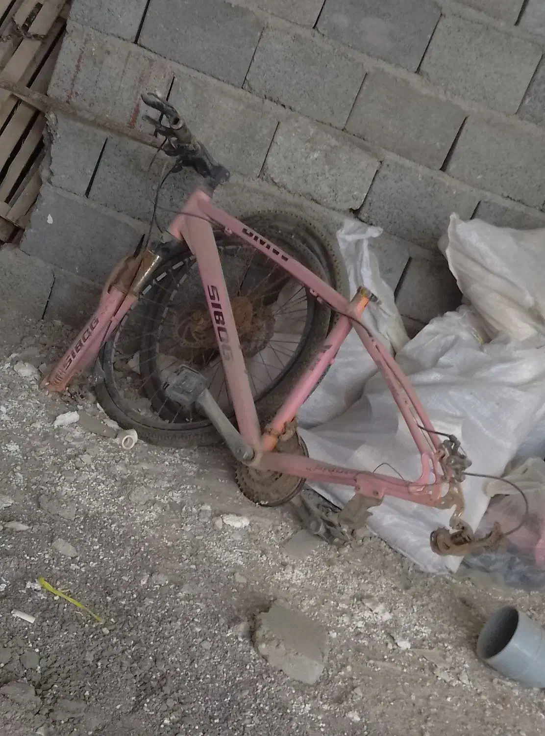 دوچرخه|دوچرخه، اسکیت، اسکوتر|قشم, |دیوار