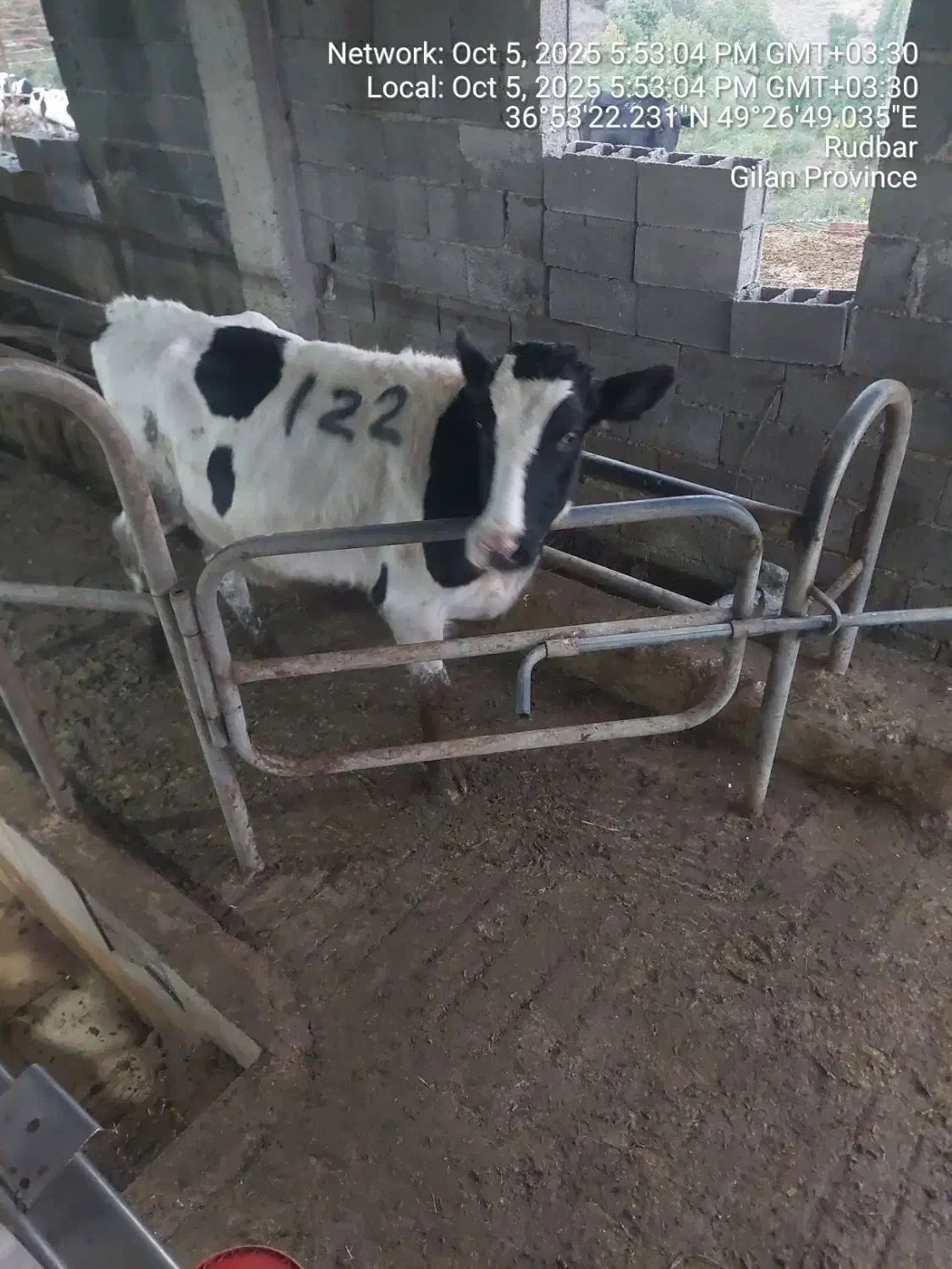 دامداری|استخدام سرایداری و نظافت|مشهد, انقلاب|دیوار