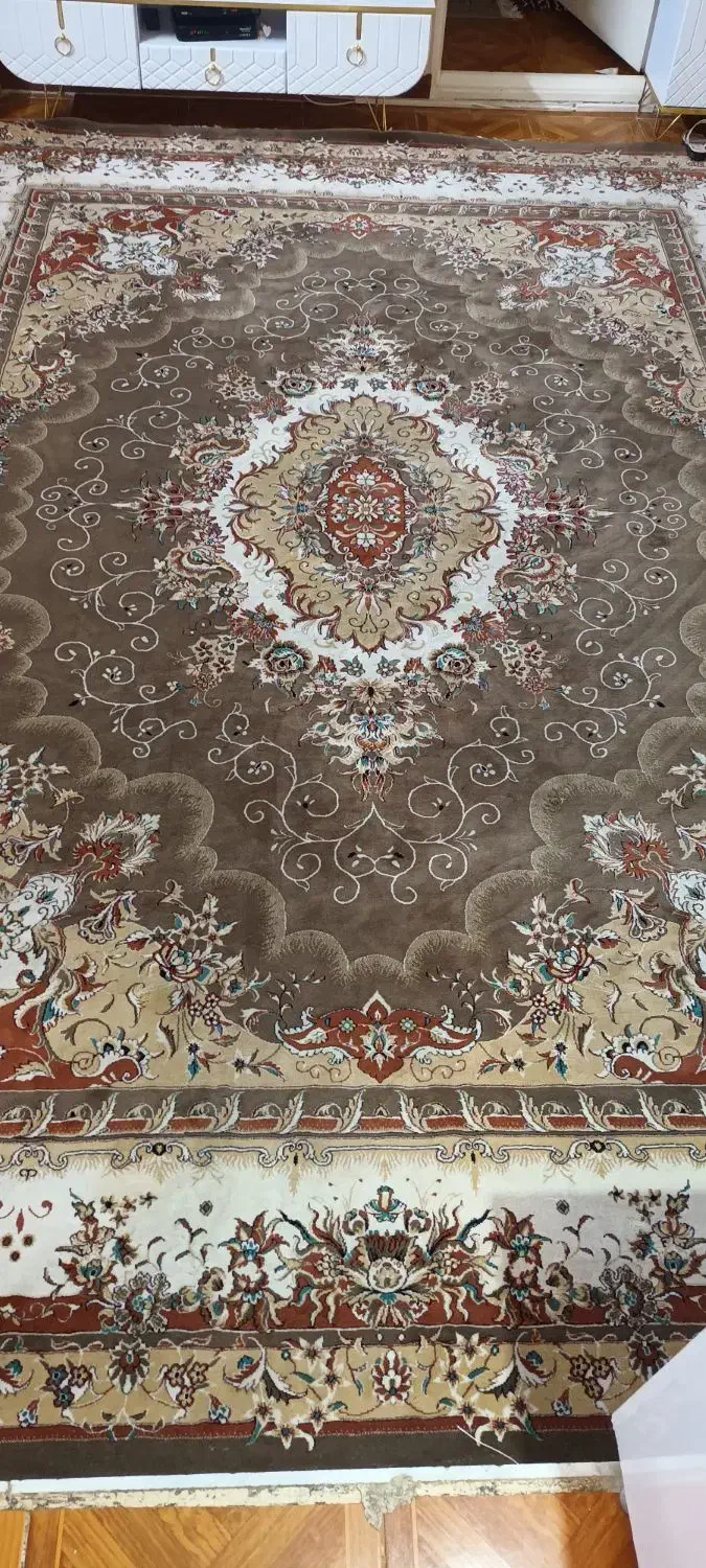 فرش ۱۲ متری|فرش|گلستان (تهران), |دیوار