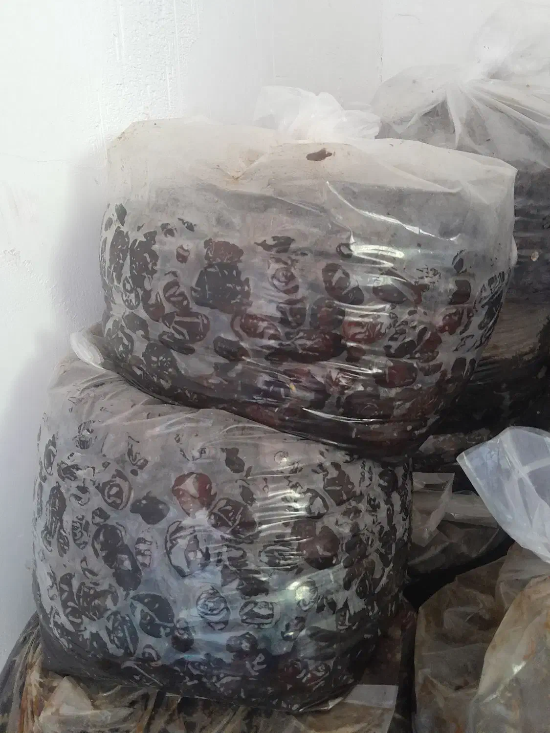 خرمای خنیزی|خوردنی و آشامیدنی|رودان, |دیوار