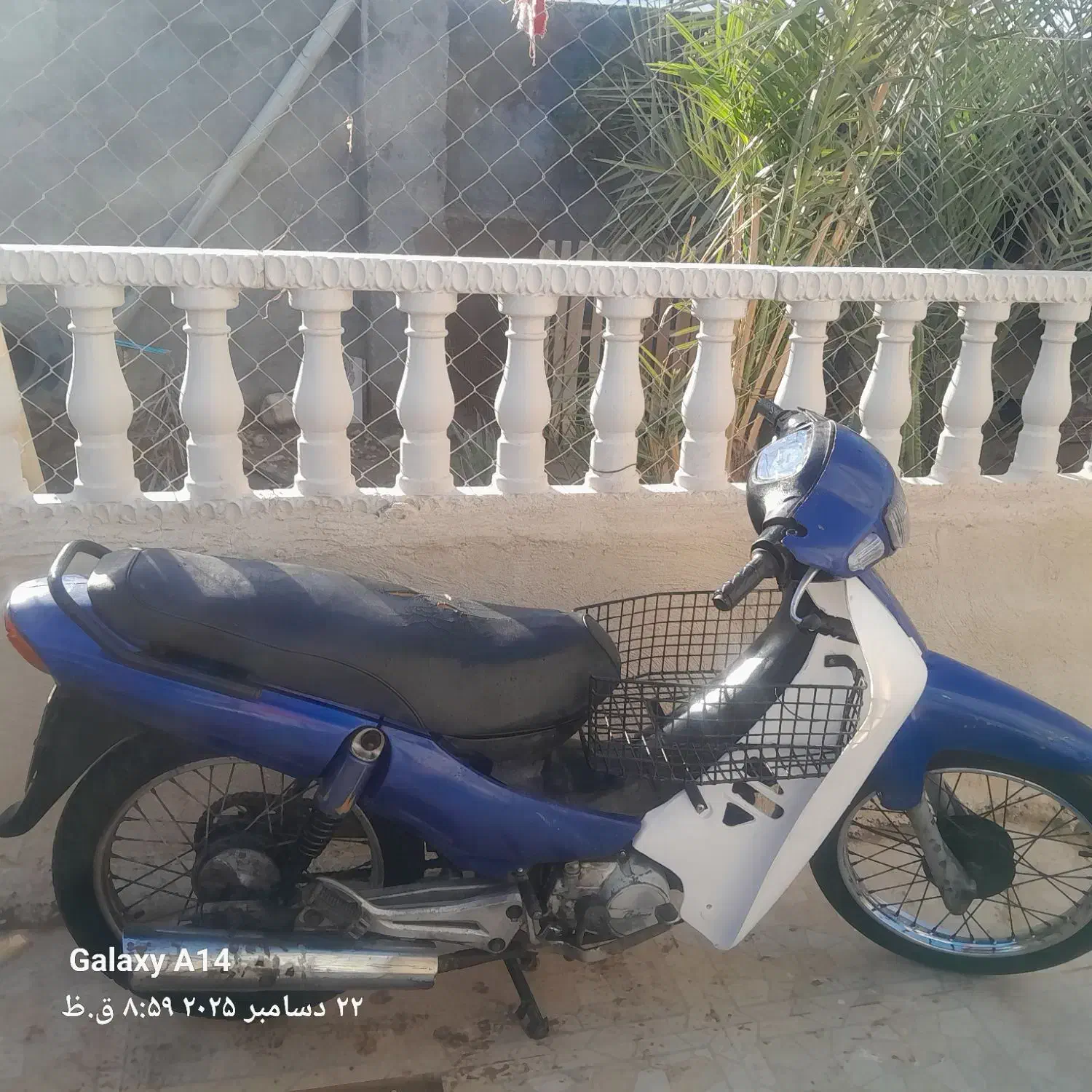 بهمن b|موتورسیکلت|بوشهر, |دیوار