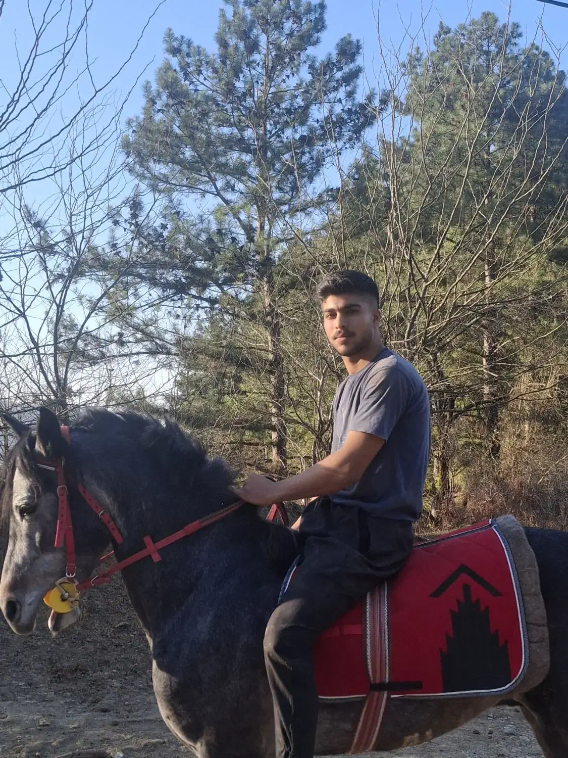 اسب کردنژاددار|اسب و تجهیزات اسب‌سواری|چابکسر, |دیوار