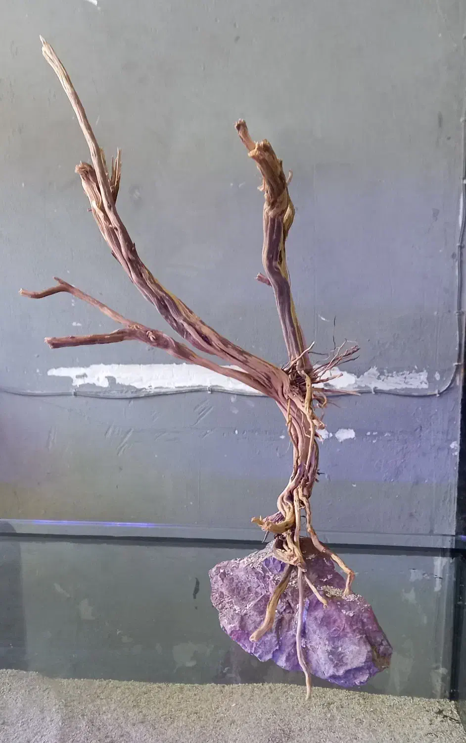 دکور آکواریوم سنگ و چوب طبیعی|ماهی|کرمان, |دیوار