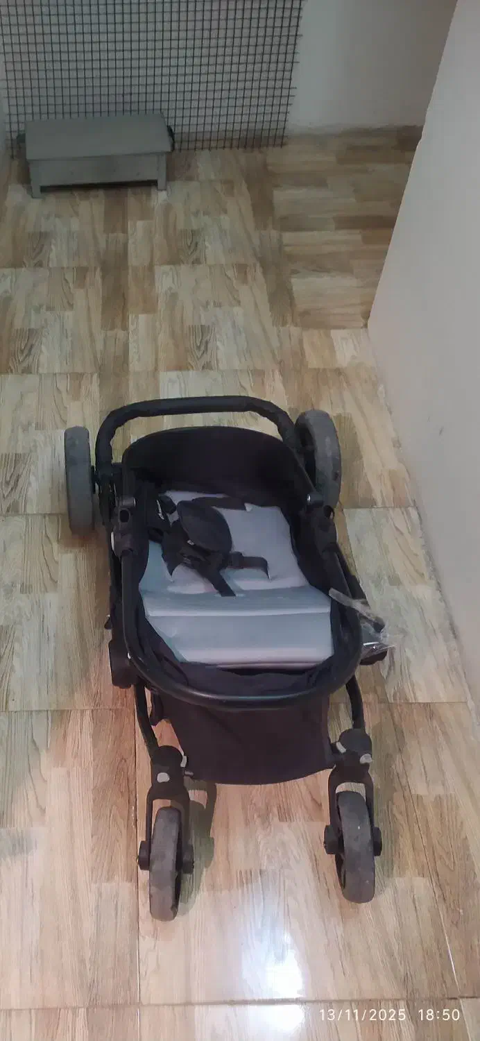 کالسکه|کالسکه و لوازم جانبی|شاهین‌شهر, خانه کارگر|دیوار