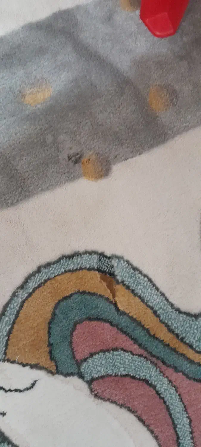 فرش کودک|فرش|بهارستان, |دیوار