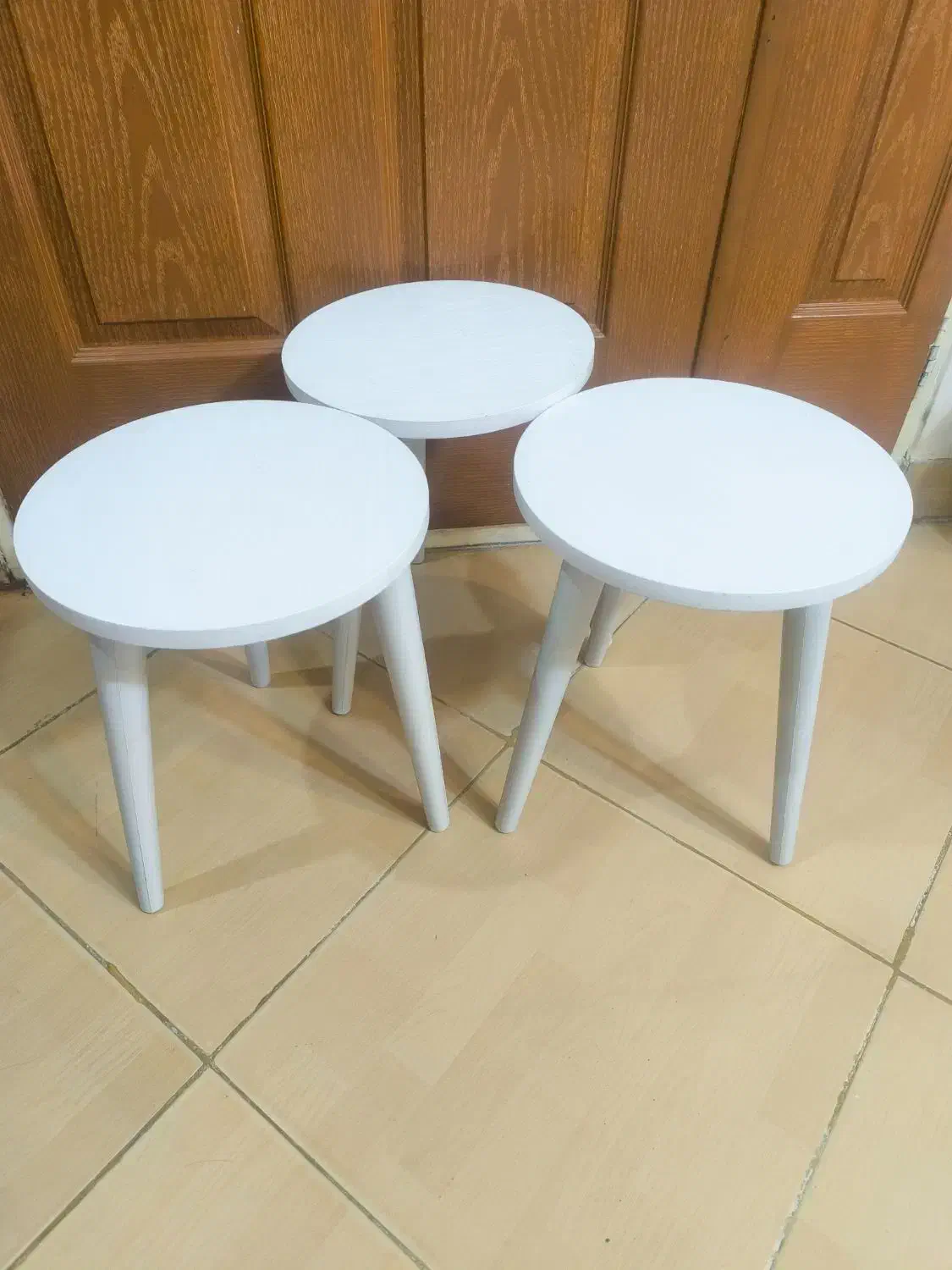 دونه ای ۲۴۰ مقطوع|گل و گیاه طبیعی|قزوین, |دیوار