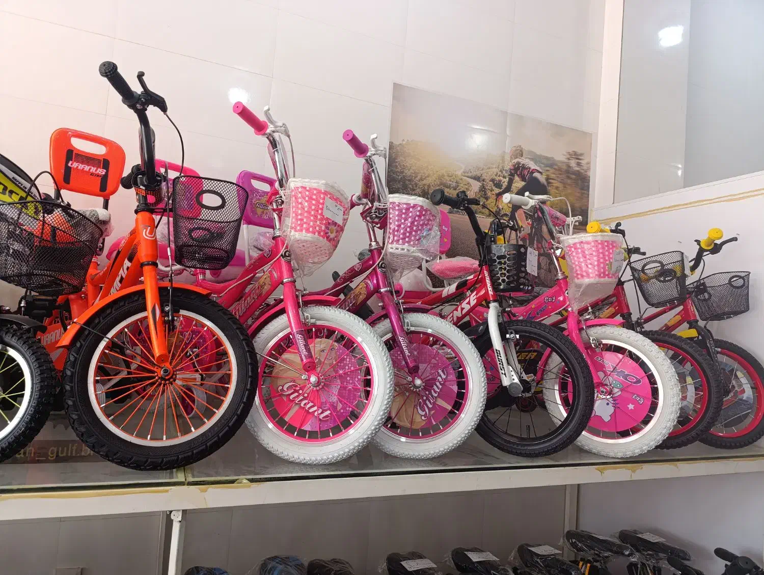 دوچرخه بچه گانه|دوچرخه، اسکیت، اسکوتر|برازجان, |دیوار