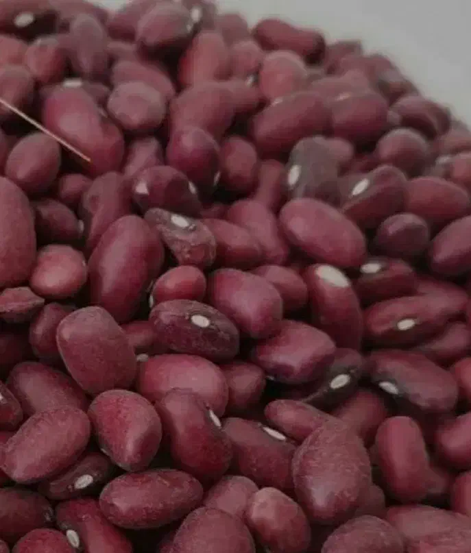 فروش لوبیا سفید و قرمز  دست چین و بوجارشده|خوردنی و آشامیدنی|آران و بیدگل, |دیوار