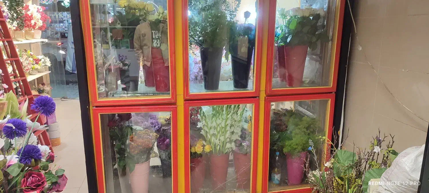 یخچال فروشگاه|فروشگاه و مغازه|مرند, |دیوار