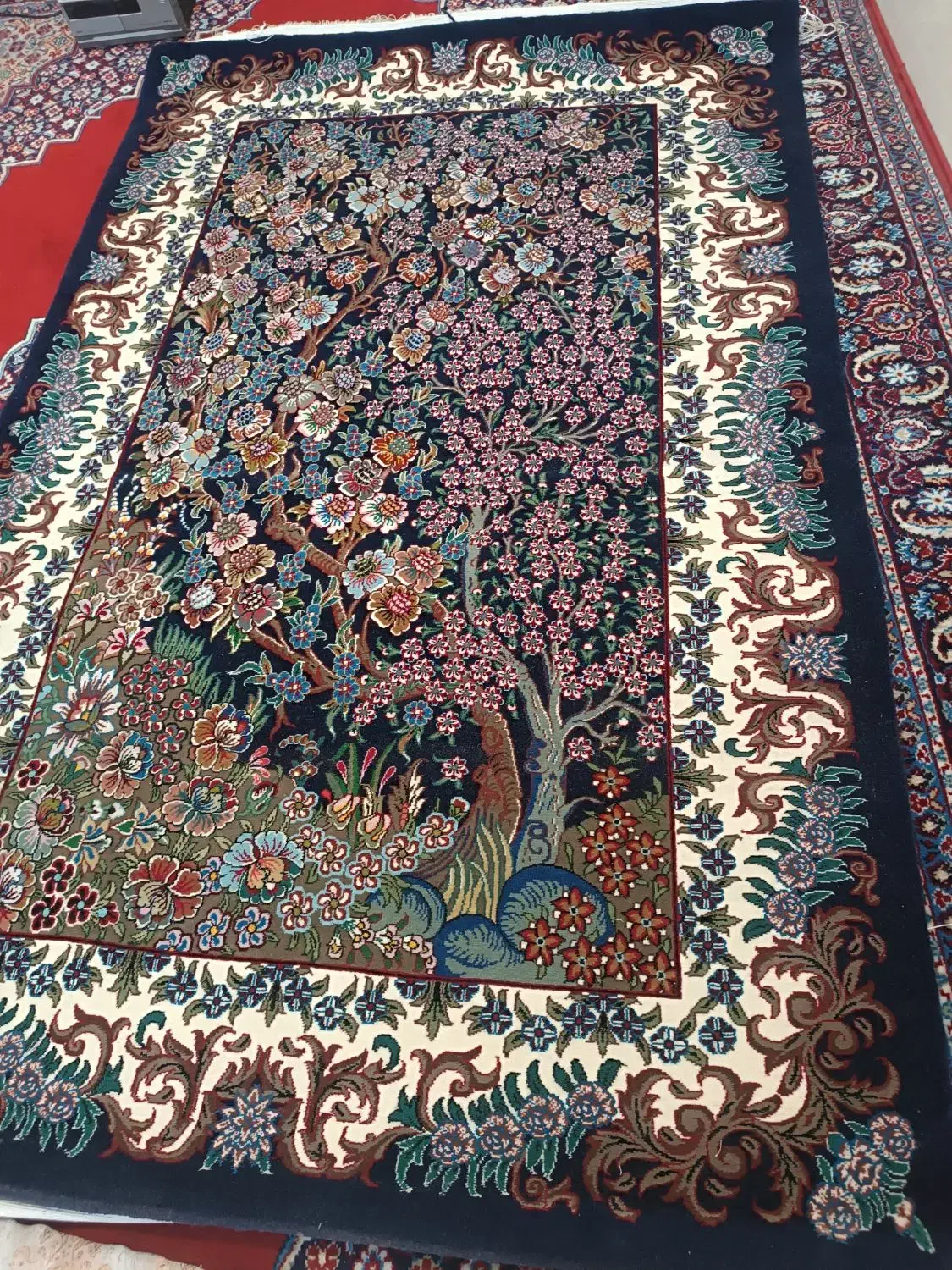 فرش دستباف مرتب تمیز درجه یک|فرش|داراب, |دیوار