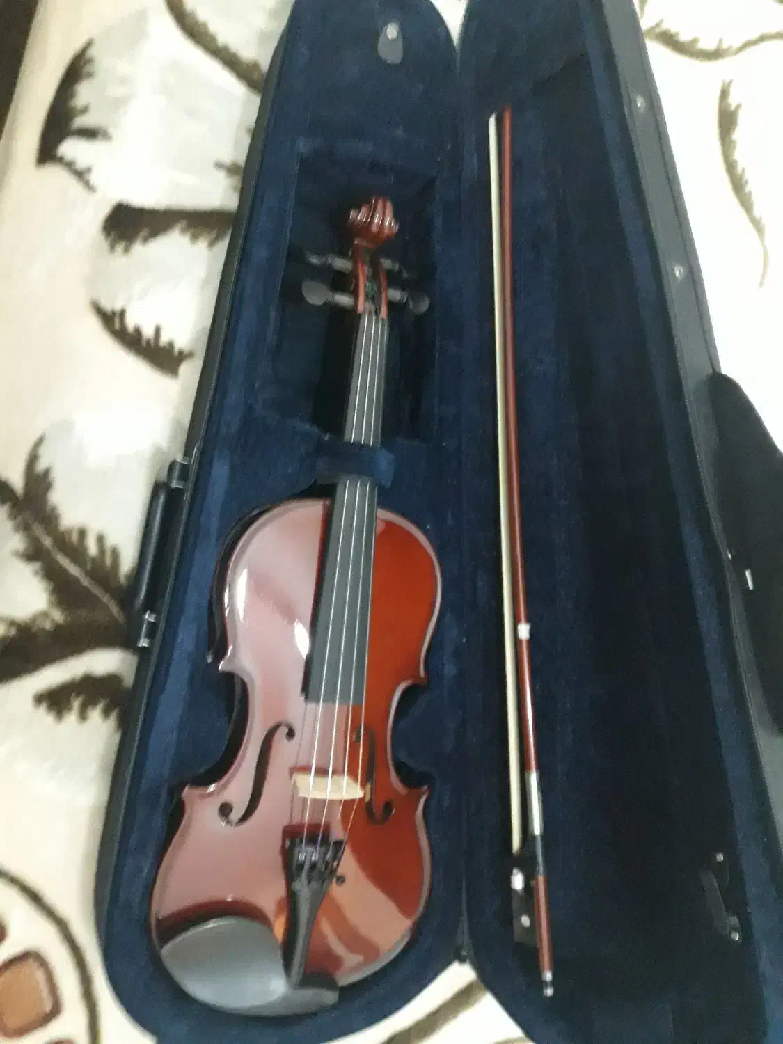 ویلون آلمانی اصل|ویولن|تبریز, |دیوار