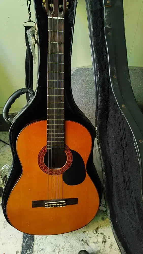 گیتار یاماها c70|گیتار، بیس، امپلیفایر|گنبد کاووس, |دیوار