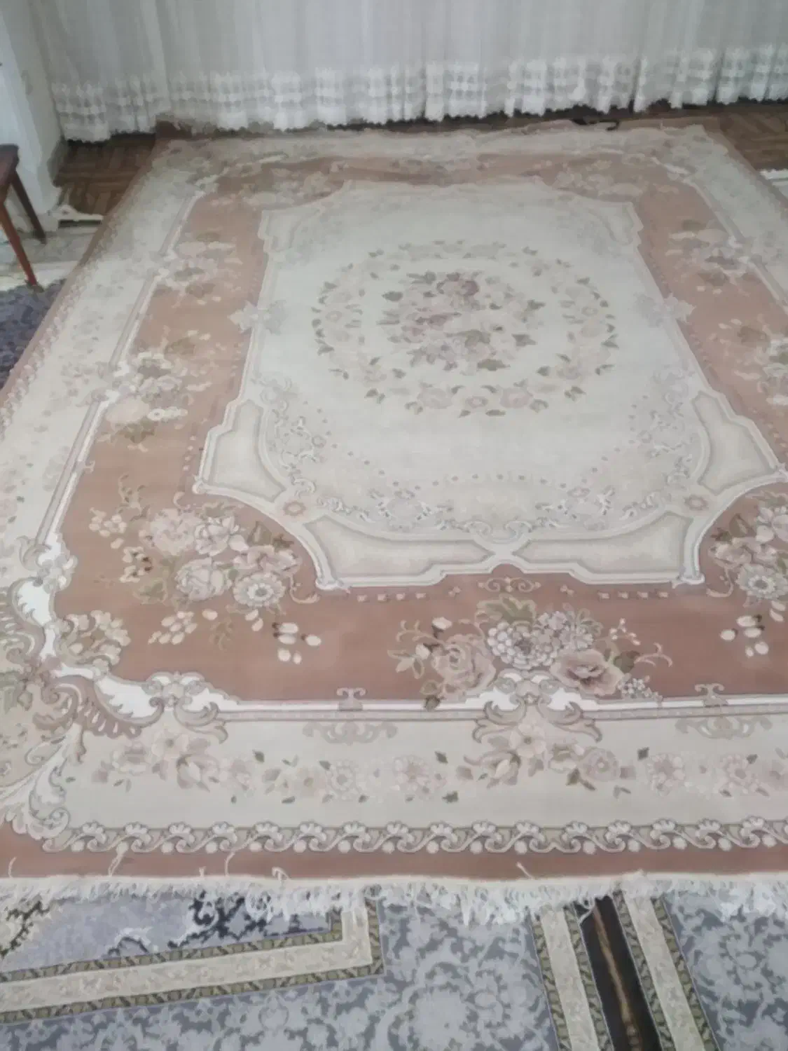 فرش دوازده متری مشهد|فرش|قزوین, |دیوار