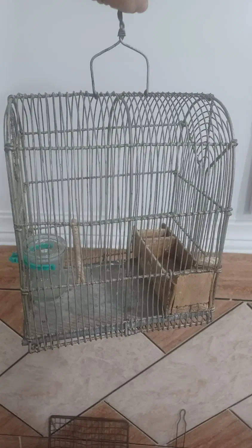 قفس دست باف سهره|لوازم جانبی حیوانات|اهواز, پردیس دو|دیوار