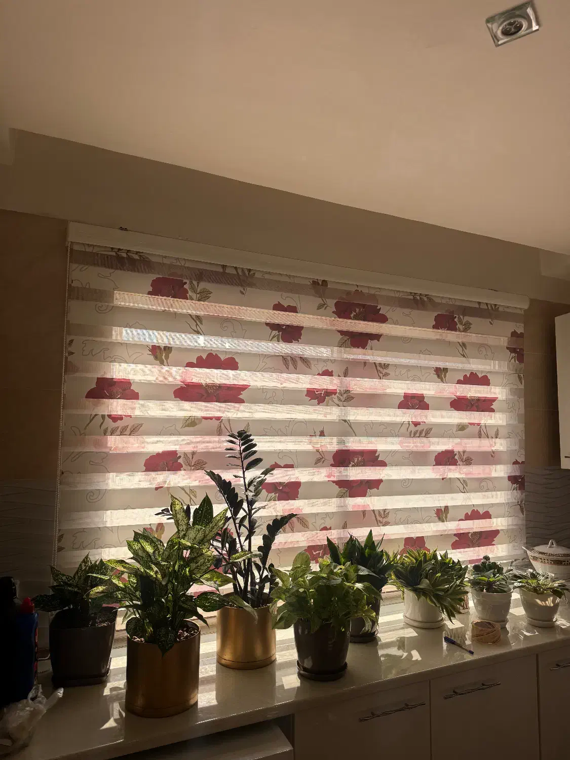 پرده آشپزخونه زبرا|پرده، رانر، رومیزی|ساری, |دیوار