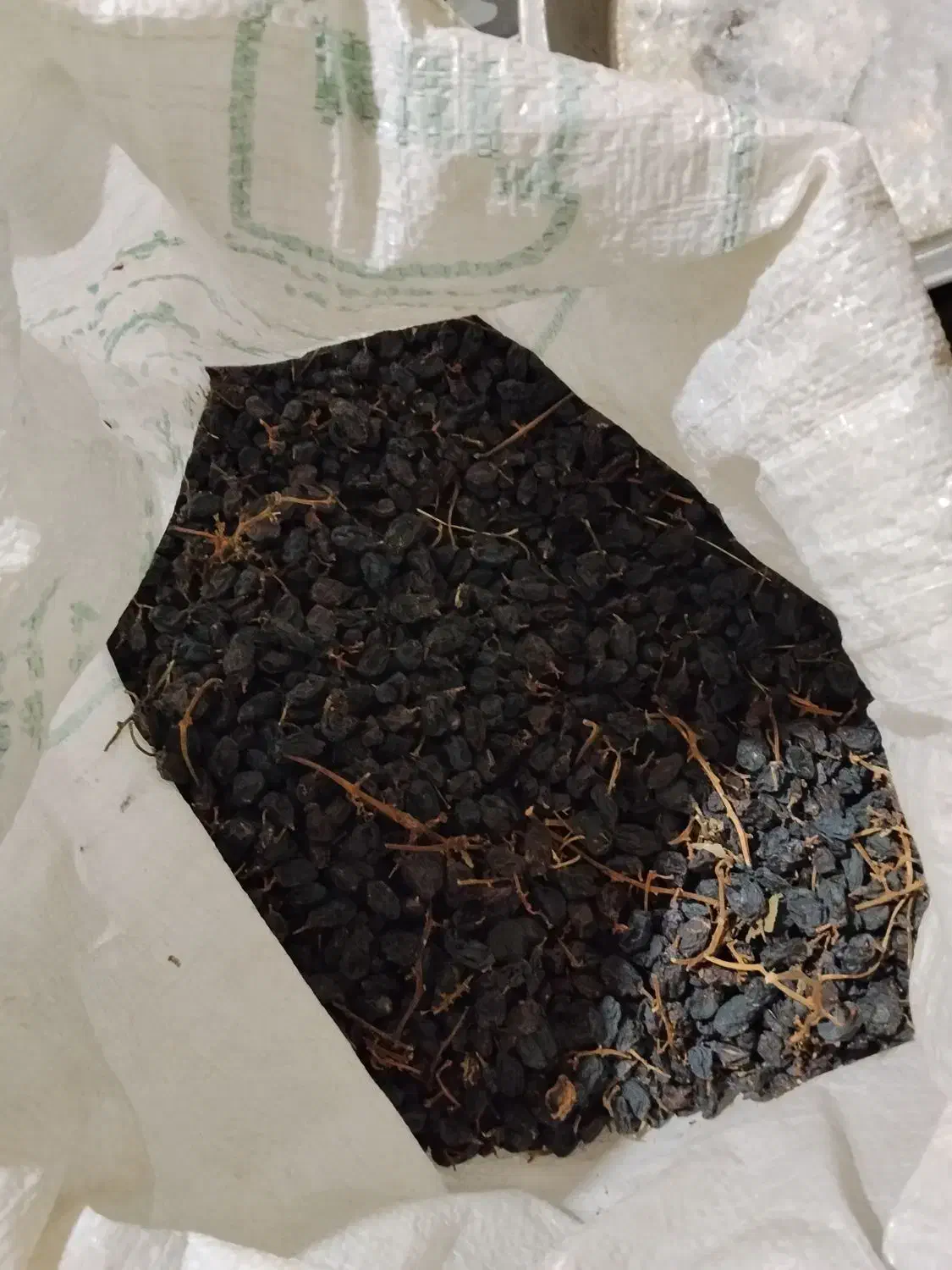 مویز سیاه دشمن زیاری|خوردنی و آشامیدنی|دشمن زیاری, |دیوار