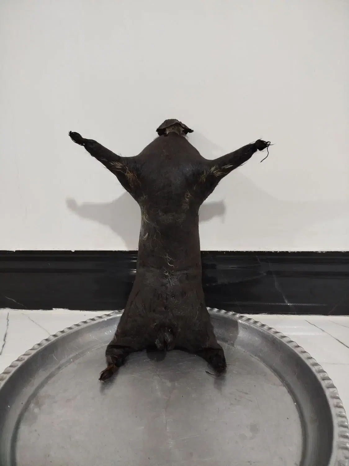 هیزه روغن|حراج|شاهیوند, |دیوار