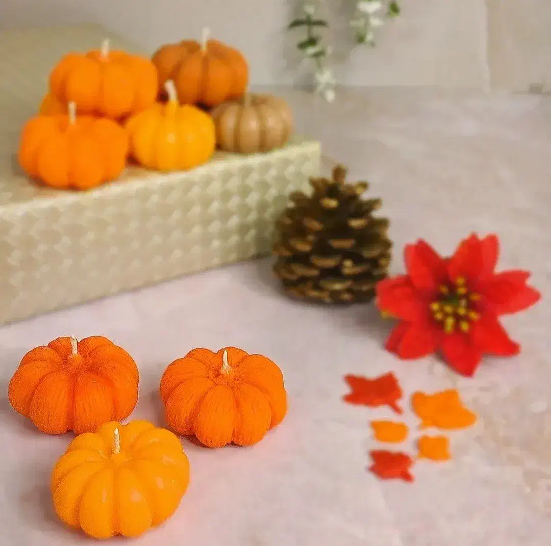 شمع انار و کدوی شب یلدا|صنایع دستی و سایر لوازم تزئینی|مشهد, رده|دیوار